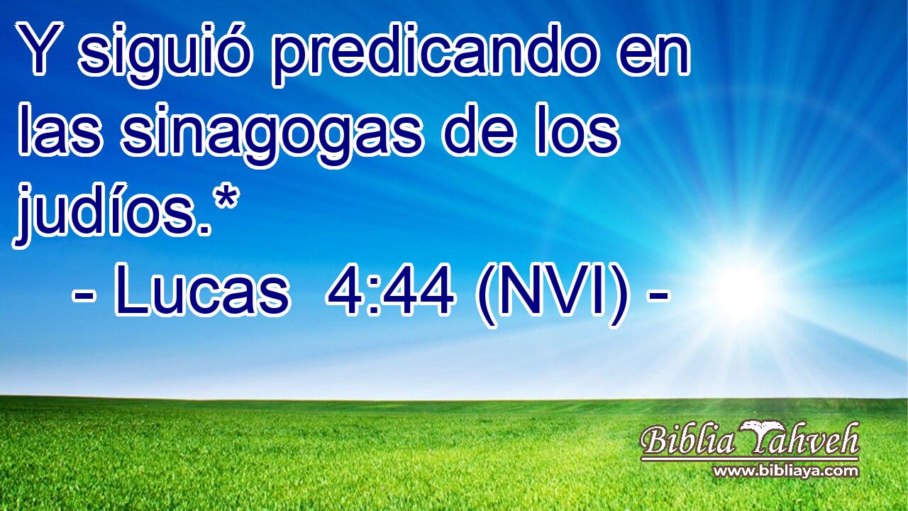  Y siguió predicando en las sinagogas de los judíos.* 