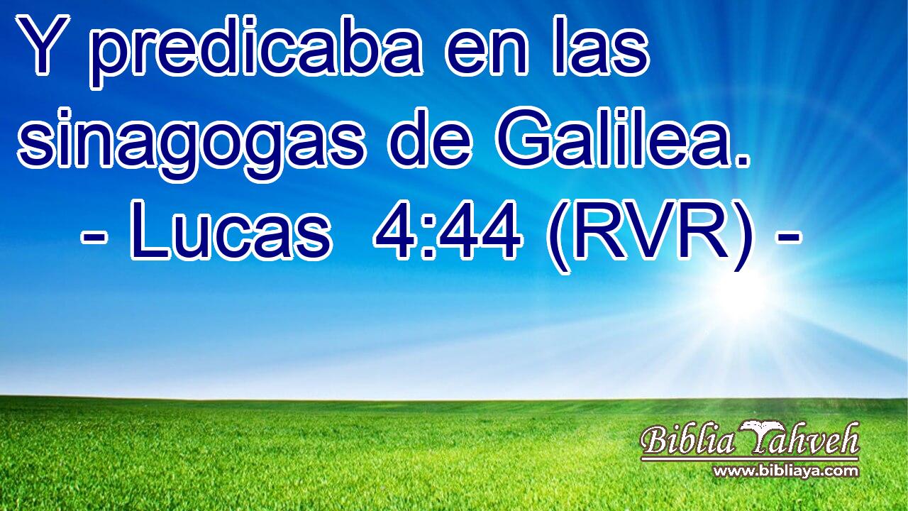 Y predicaba en las sinagogas de Galilea.