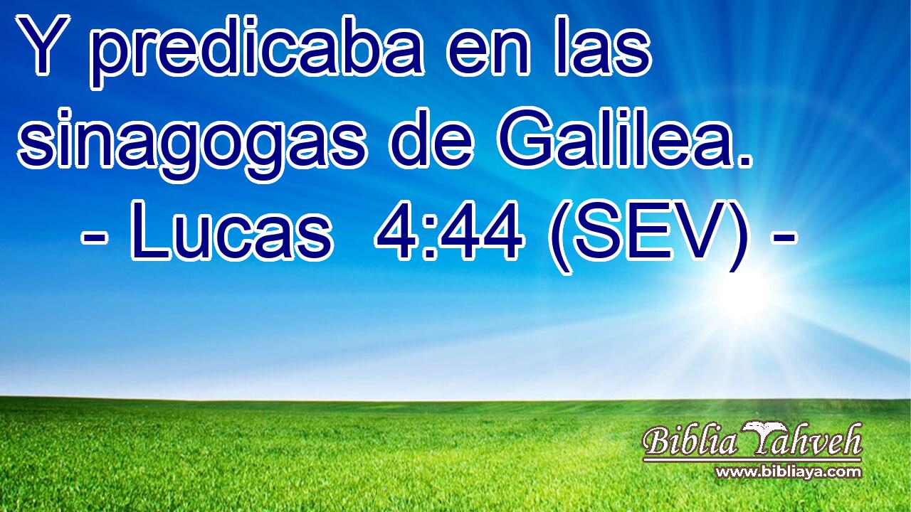 Y predicaba en las sinagogas de Galilea.