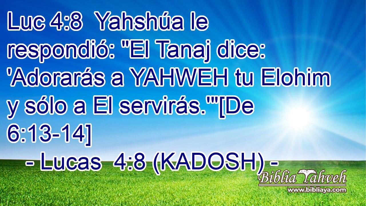  Yahshúa le respondió: 