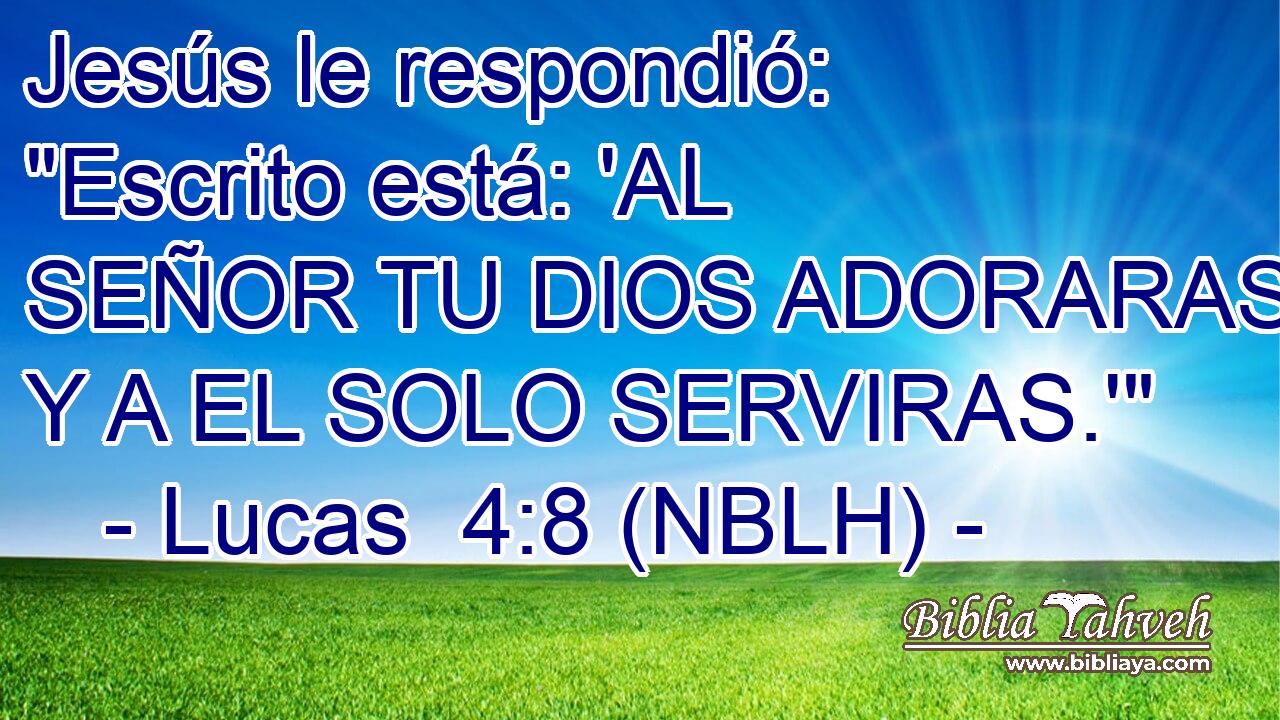  Jesús le respondió: 