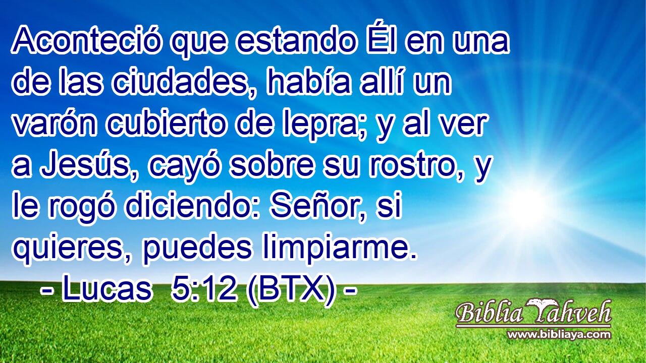 Aconteció que estando Él en una de las ciudades, había allí un varón cubierto de lepra; y al ver a Jesús, cayó sobre su rostro, y le rogó diciendo: Señor, si quieres, puedes limpiarme.