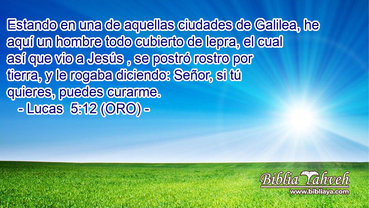  Estando en una de aquellas ciudades de Galilea, he aquí un hombre todo cubierto de lepra, el cual así que vio a Jesús , se postró rostro por tierra, y le rogaba diciendo: Señor, si tú quieres, puedes curarme. 