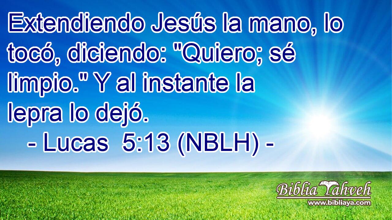  Extendiendo Jesús la mano, lo tocó, diciendo: 