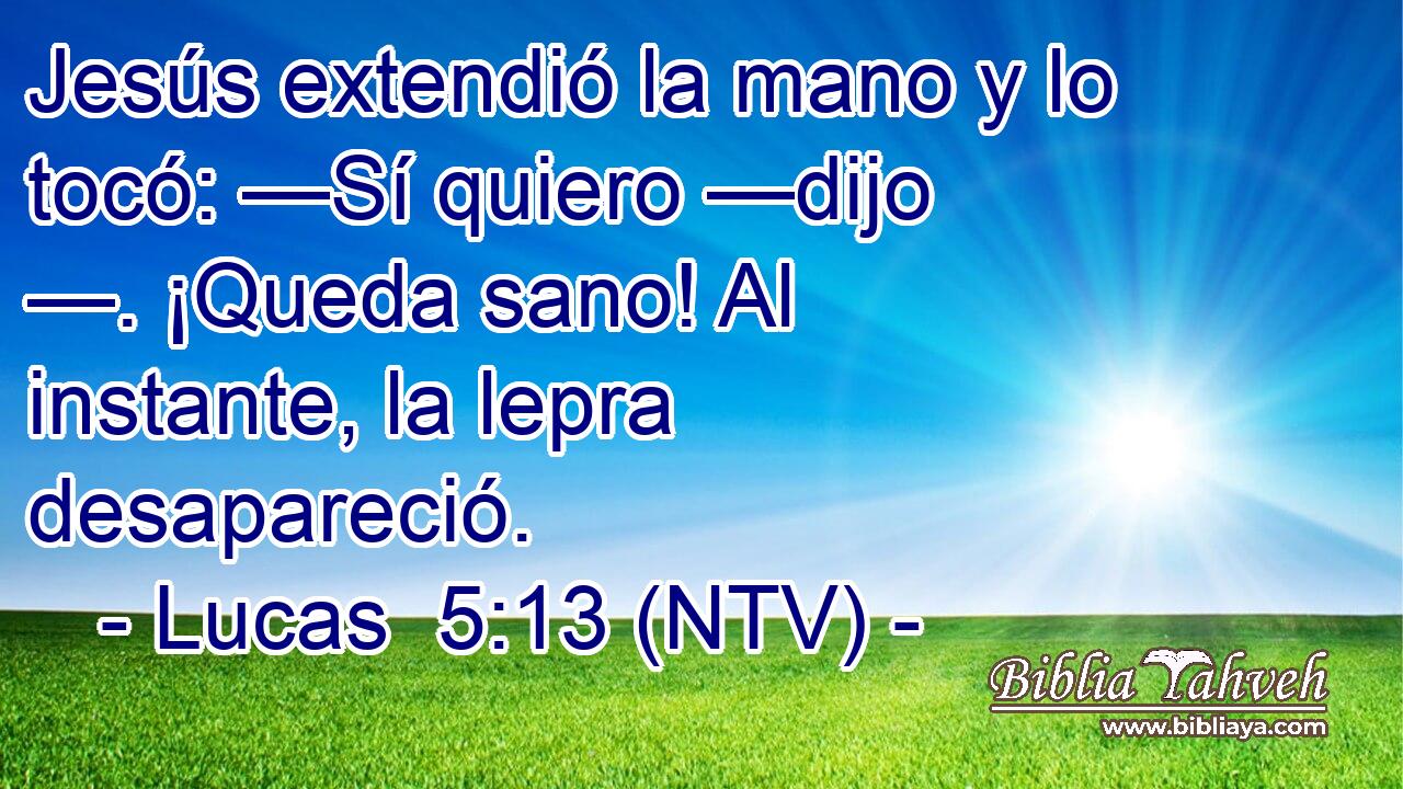 Jesús extendió la mano y lo tocó: —Sí quiero —dijo —. ¡Queda sano! Al instante, la lepra desapareció.