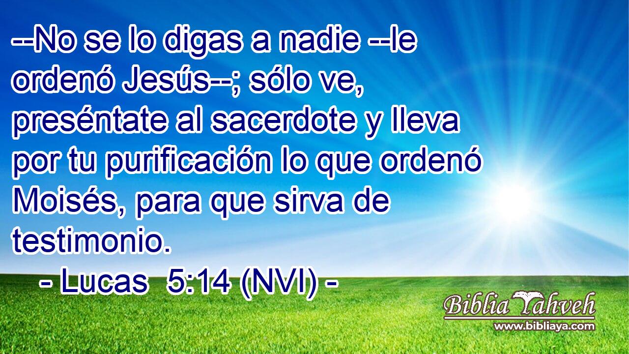  --No se lo digas a nadie --le ordenó Jesús--; sólo ve, preséntate al sacerdote y lleva por tu purificación lo que ordenó Moisés, para que sirva de testimonio. 