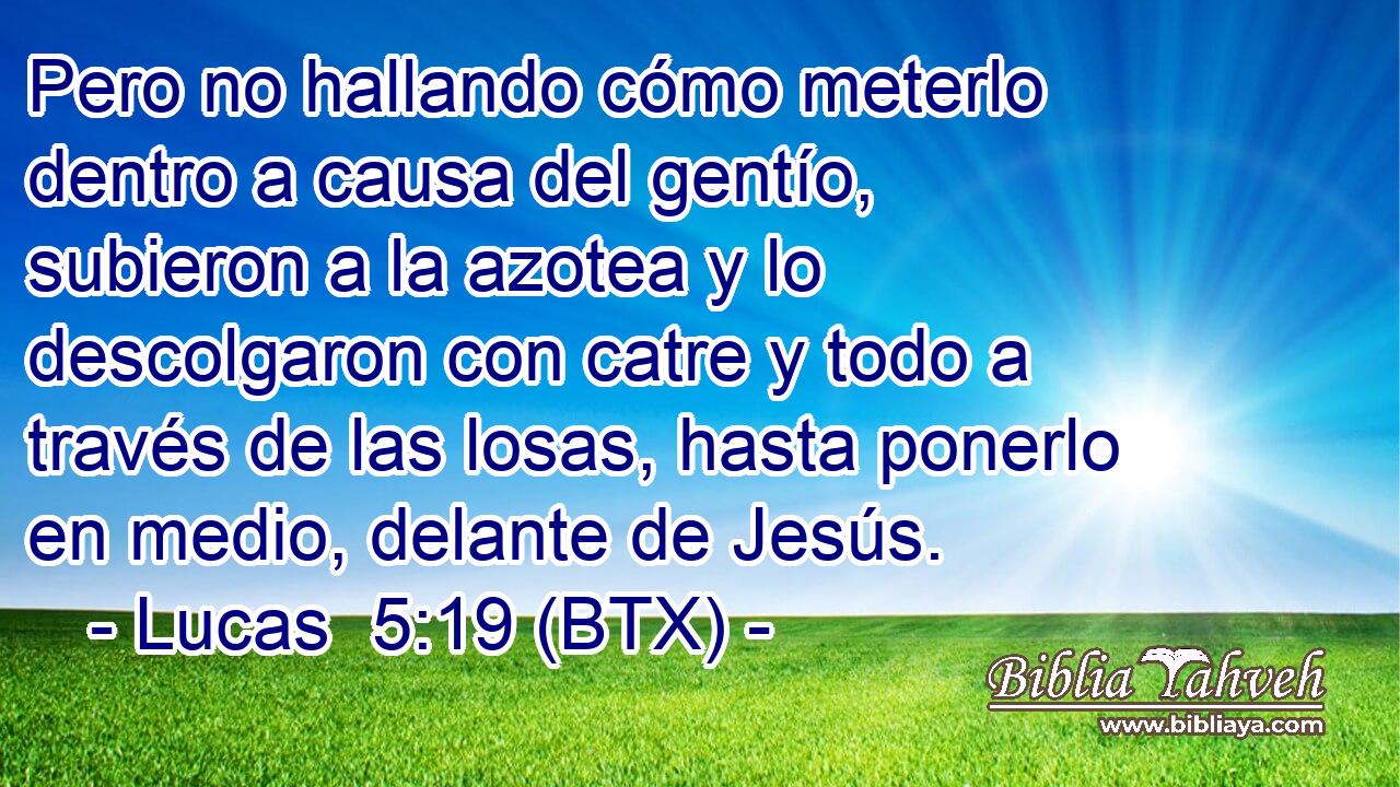 Pero no hallando cómo meterlo dentro a causa del gentío, subieron a la azotea y lo descolgaron con catre y todo a través de las losas, hasta ponerlo en medio, delante de Jesús.