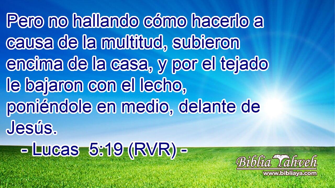 Pero no hallando cómo hacerlo a causa de la multitud, subieron encima de la casa, y por el tejado le bajaron con el lecho, poniéndole en medio, delante de Jesús.