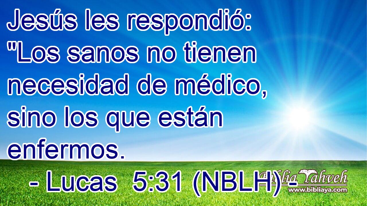 Jesús les respondió: 