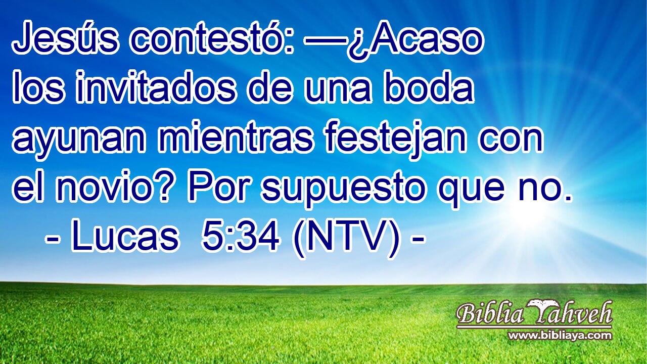 Jesús contestó: —¿Acaso los invitados de una boda ayunan mientras festejan con el novio? Por supuesto que no.