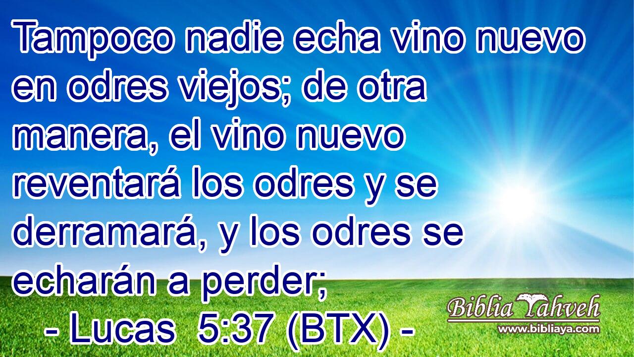 Tampoco nadie echa vino nuevo en odres viejos; de otra manera, el vino nuevo reventará los odres y se derramará, y los odres se echarán a perder;