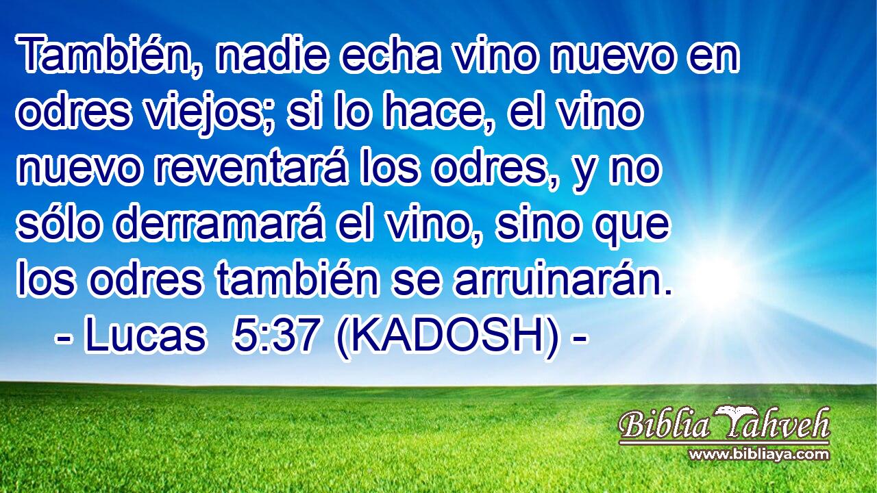  También, nadie echa vino nuevo en odres viejos; si lo hace, el vino nuevo reventará los odres, y no sólo derramará el vino, sino que los odres también se arruinarán. 