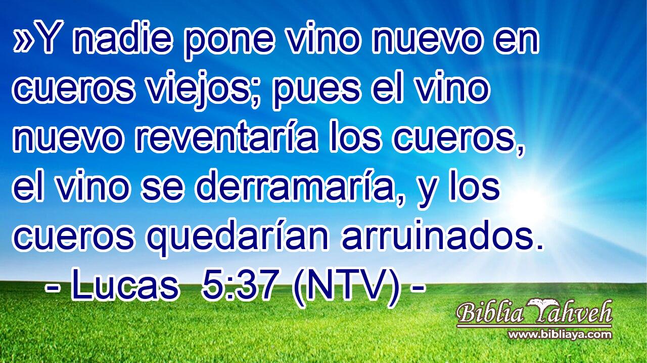 »Y nadie pone vino nuevo en cueros viejos; pues el vino nuevo reventaría los cueros, el vino se derramaría, y los cueros quedarían arruinados.
