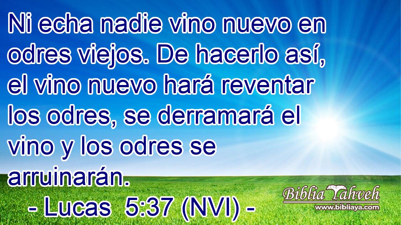  Ni echa nadie vino nuevo en odres viejos. De hacerlo así, el vino nuevo hará reventar los odres, se derramará el vino y los odres se arruinarán. 