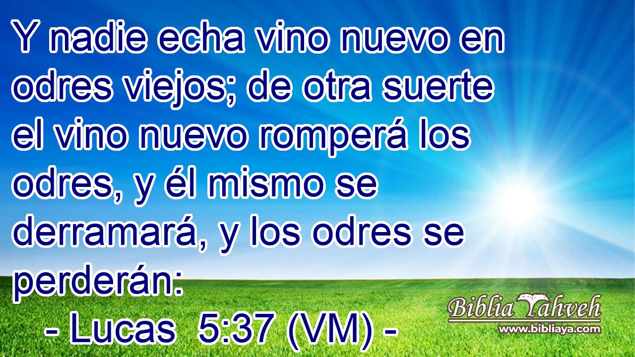  Y nadie echa vino nuevo en odres viejos; de otra suerte el vino nuevo romperá los odres, y él mismo se derramará, y los odres se perderán: 