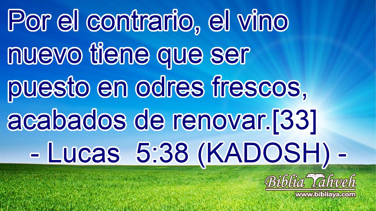  Por el contrario, el vino nuevo tiene que ser puesto en odres frescos, acabados de renovar.[33] 