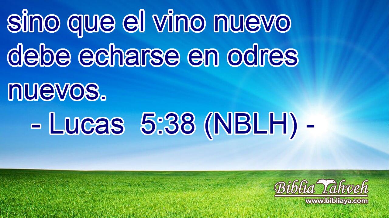  sino que el vino nuevo debe echarse en odres nuevos. 