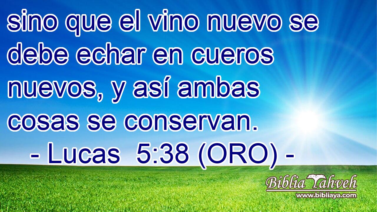  sino que el vino nuevo se debe echar en cueros nuevos, y así ambas cosas se conservan. 