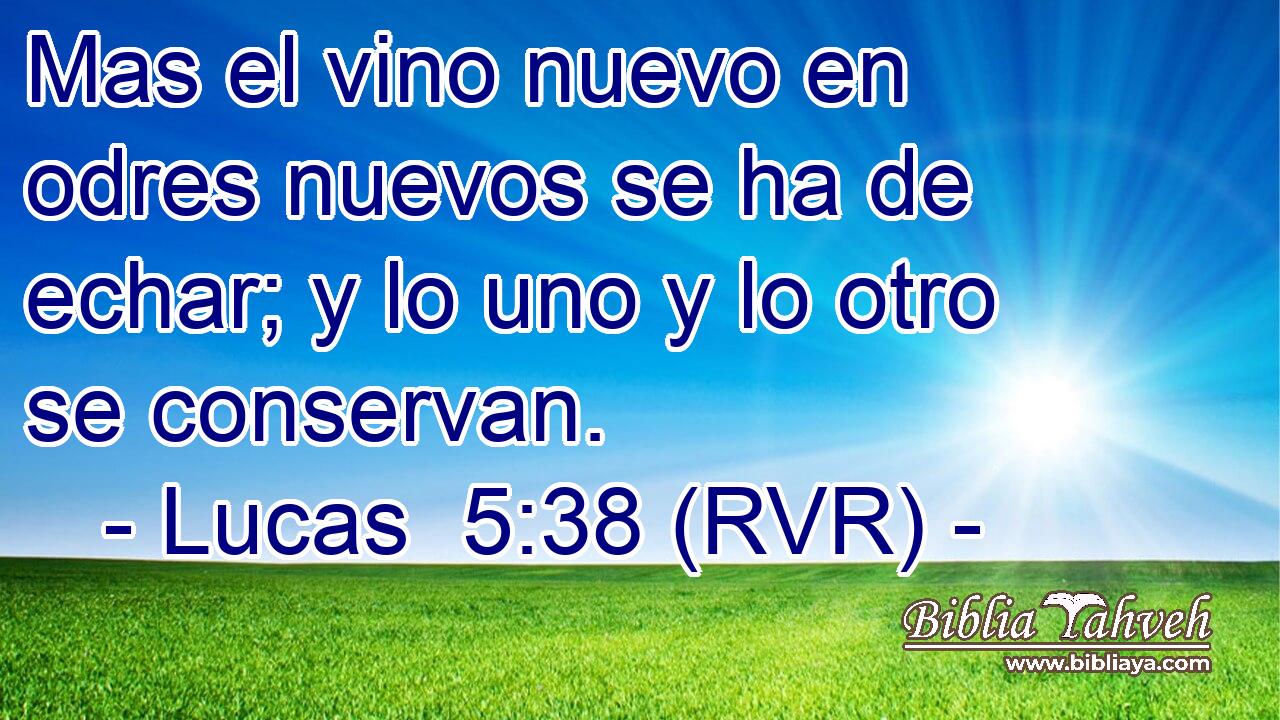 Mas el vino nuevo en odres nuevos se ha de echar; y lo uno y lo otro se conservan.