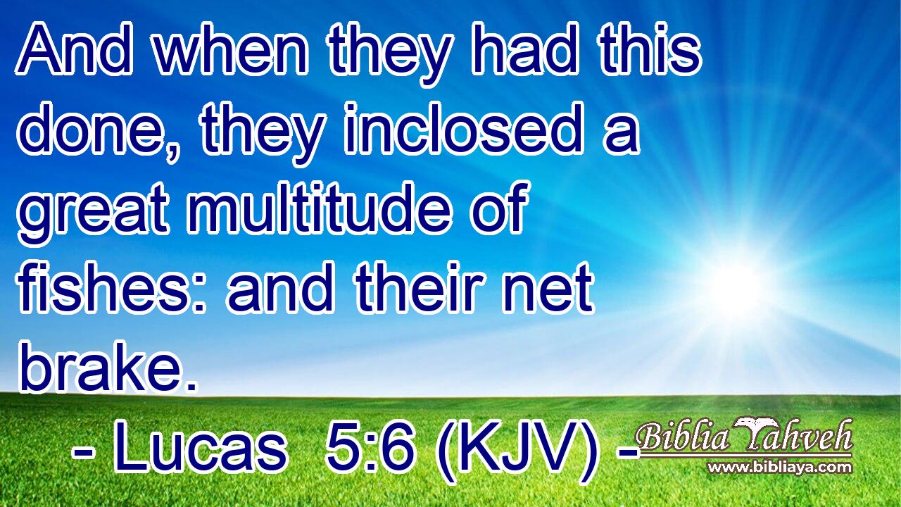 And when they had this done, they inclosed a great multitude of fishes: and their net brake.