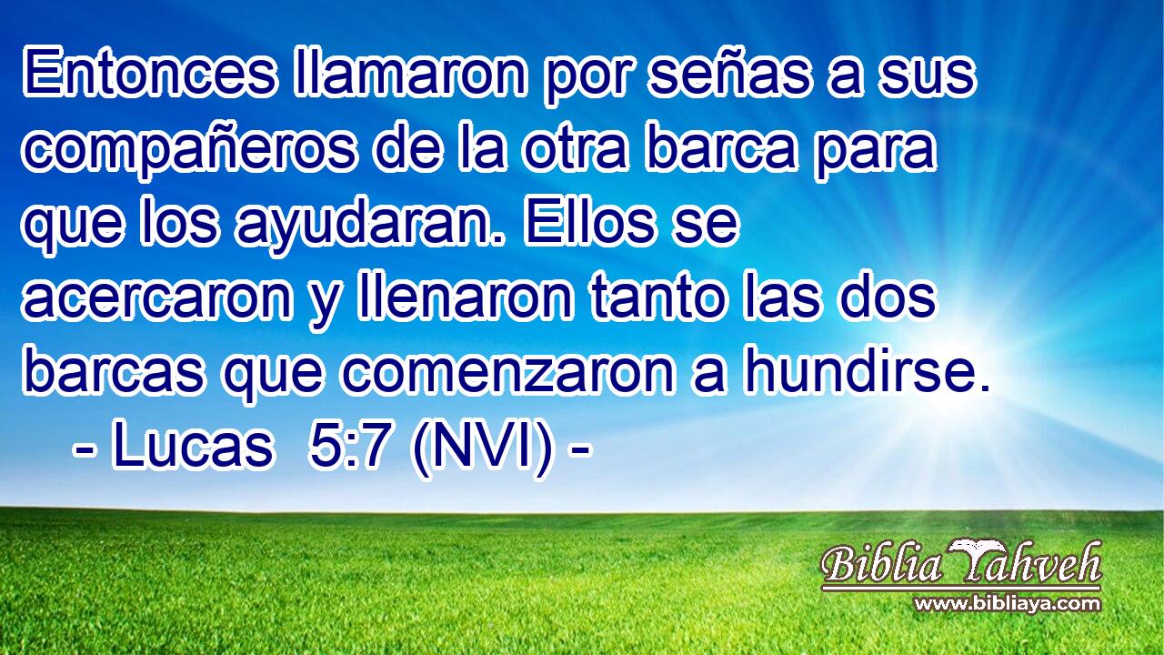  Entonces llamaron por señas a sus compañeros de la otra barca para que los ayudaran. Ellos se acercaron y llenaron tanto las dos barcas que comenzaron a hundirse. 