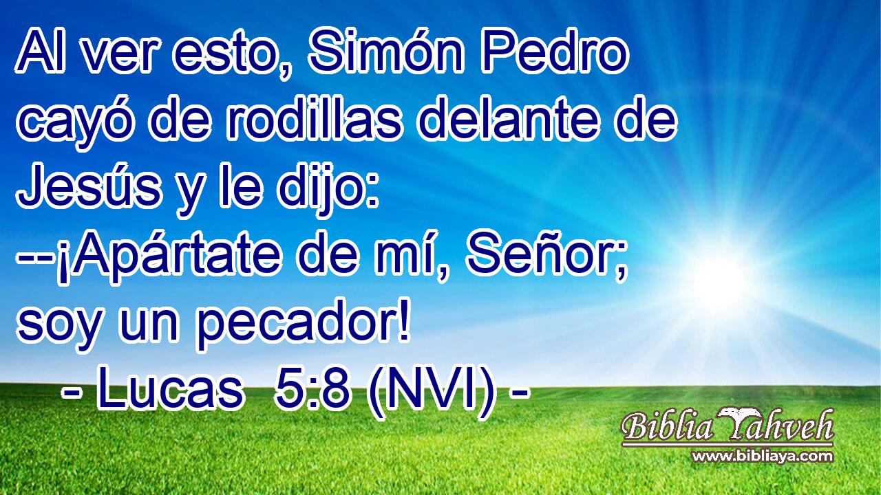  Al ver esto, Simón Pedro cayó de rodillas delante de Jesús y le dijo: --¡Apártate de mí, Señor; soy un pecador! 