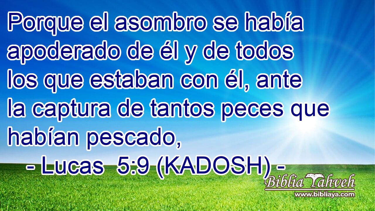 Porque el asombro se había apoderado de él y de todos los que estaban con él, ante la captura de tantos peces que habían pescado, 