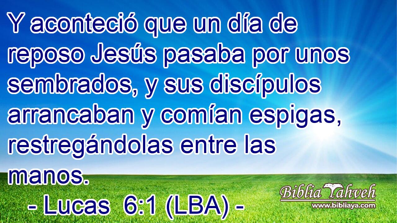 Y aconteció que un día de reposo Jesús pasaba por unos sembrados, y sus discípulos arrancaban y comían espigas, restregándolas entre las manos.