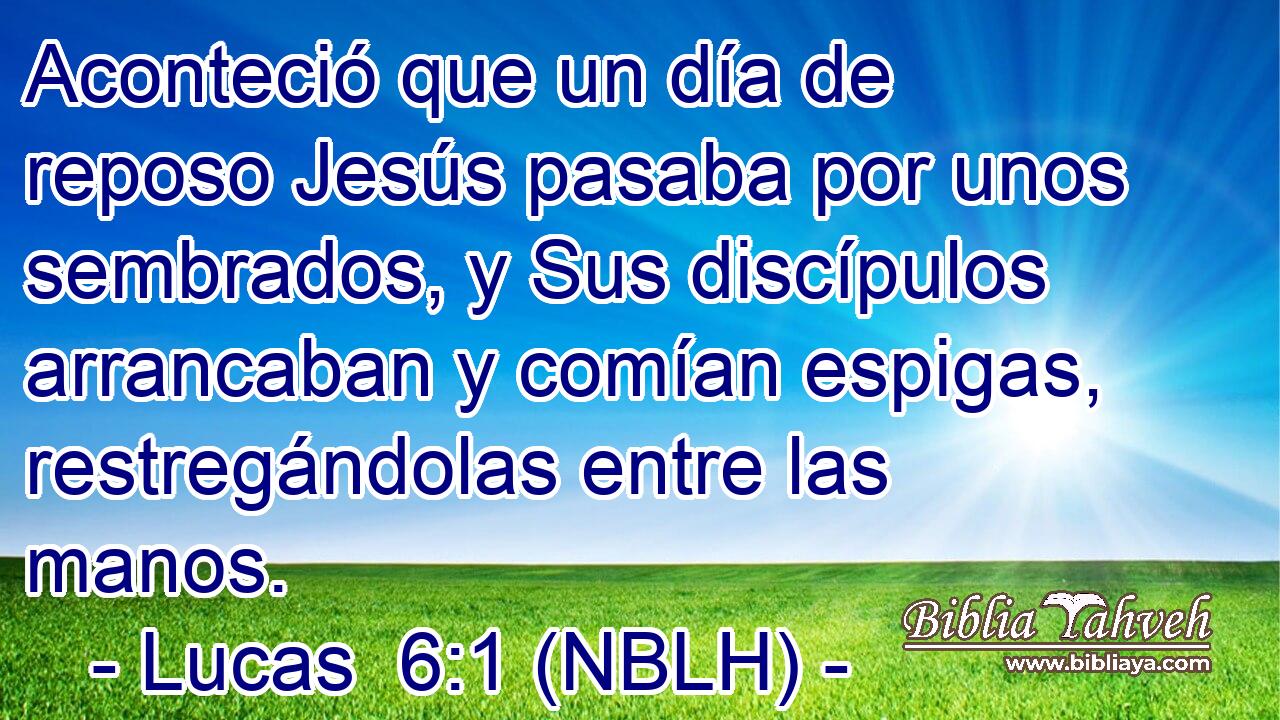  Aconteció que un día de reposo Jesús pasaba por unos sembrados, y Sus discípulos arrancaban y comían espigas, restregándolas entre las manos. 