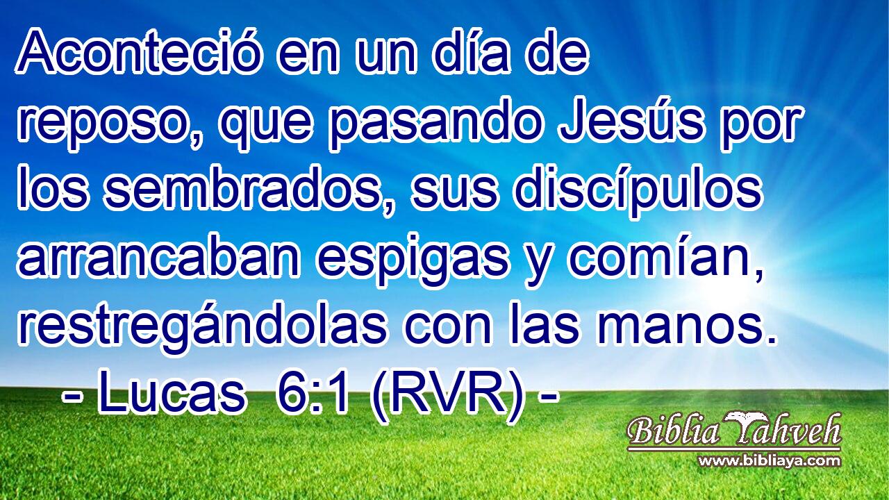 Aconteció en un día de reposo, que pasando Jesús por los sembrados, sus discípulos arrancaban espigas y comían, restregándolas con las manos.