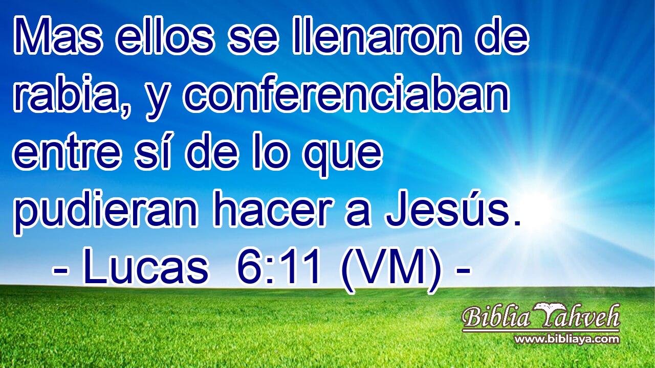  Mas ellos se llenaron de rabia, y conferenciaban entre sí de lo que pudieran hacer a Jesús. 