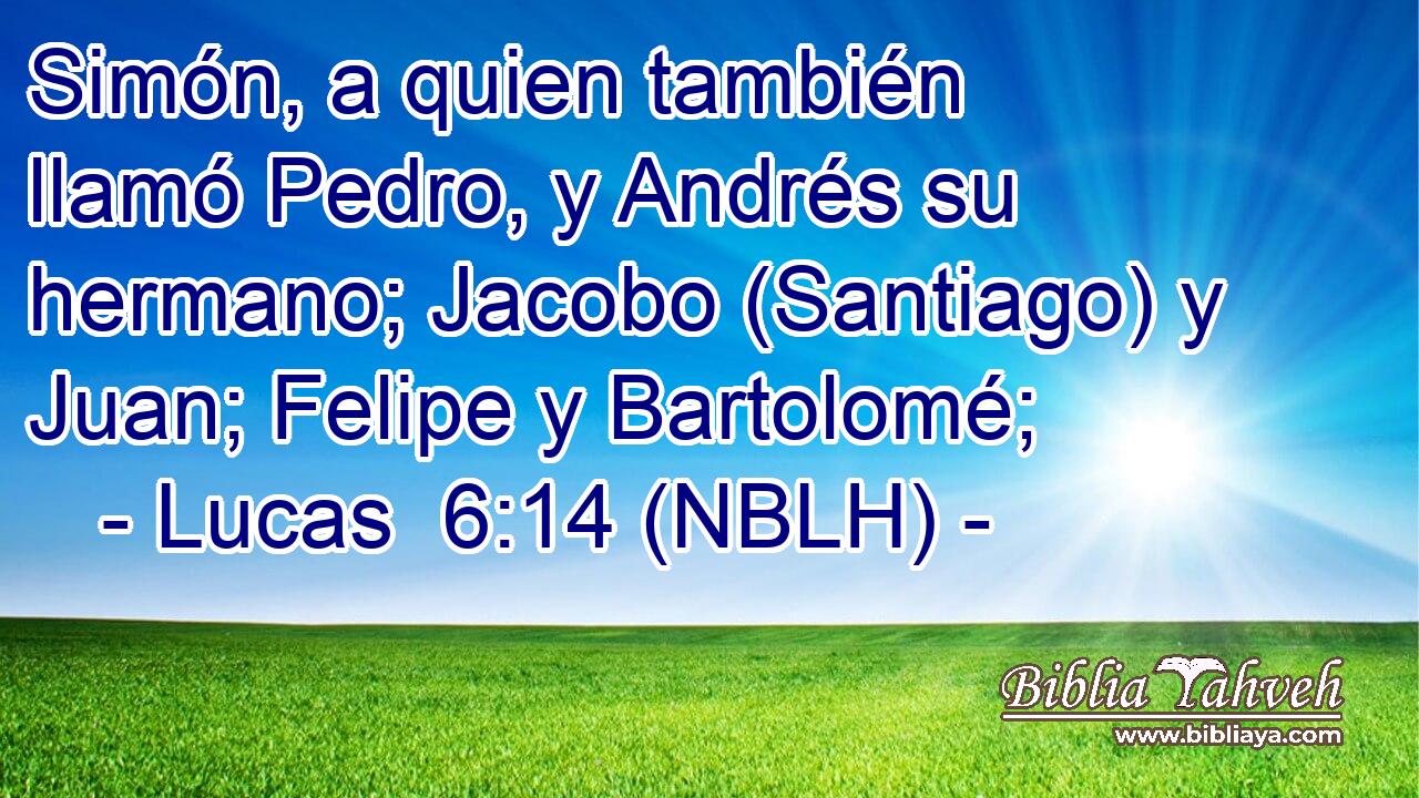  Simón, a quien también llamó Pedro, y Andrés su hermano; Jacobo (Santiago) y Juan; Felipe y Bartolomé; 