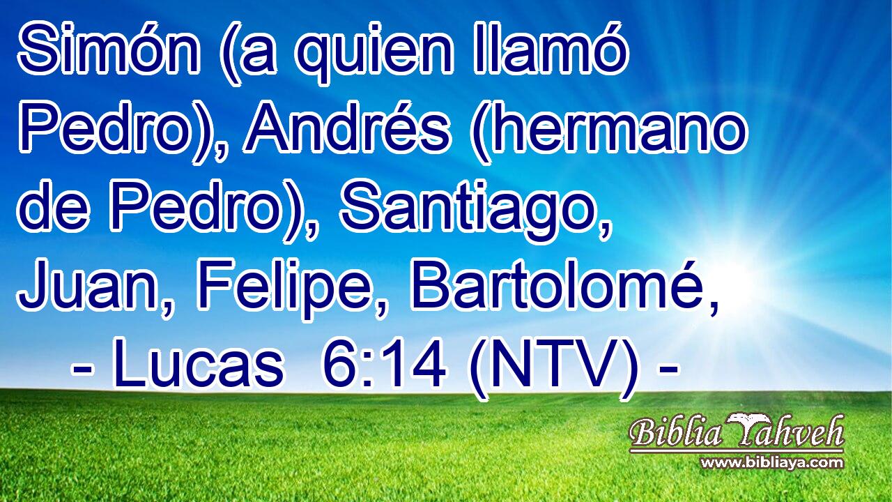 Simón (a quien llamó Pedro), Andrés (hermano de Pedro), Santiago, Juan, Felipe, Bartolomé,