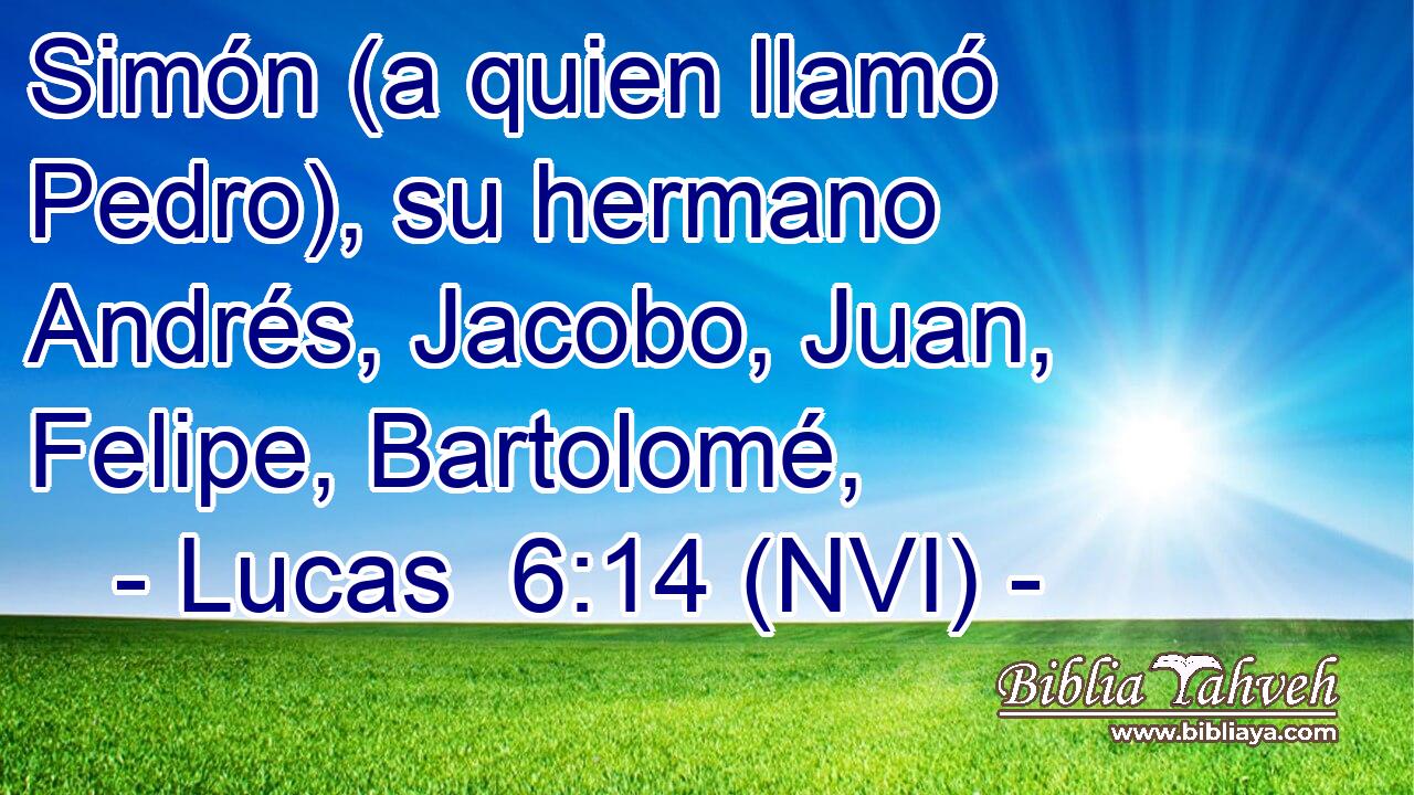  Simón (a quien llamó Pedro), su hermano Andrés, Jacobo, Juan, Felipe, Bartolomé, 