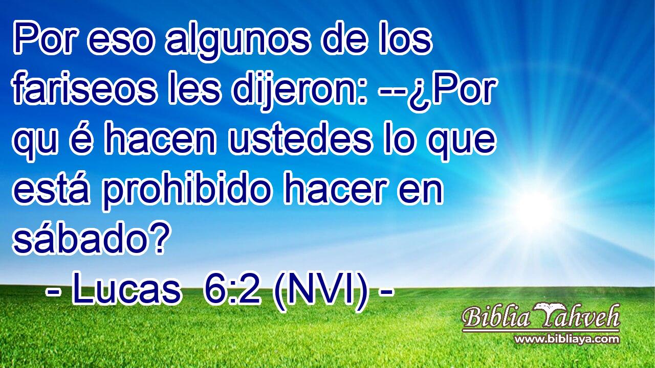  Por eso algunos de los fariseos les dijeron: --¿Por qu é hacen ustedes lo que está prohibido hacer en sábado? 
