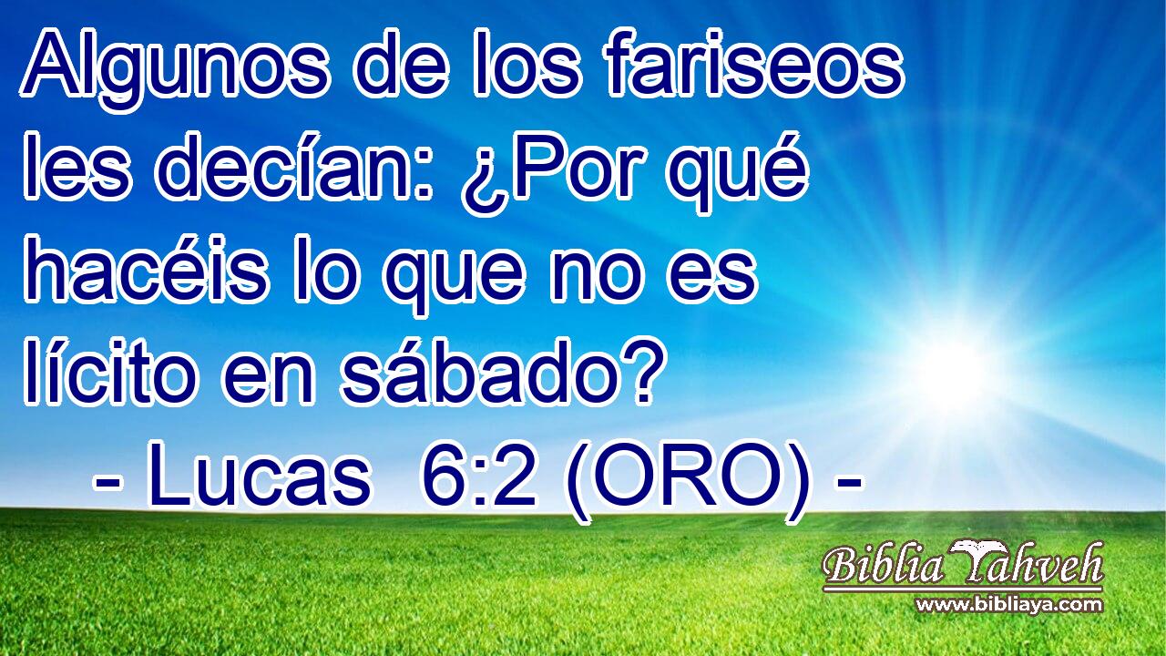  Algunos de los fariseos les decían: ¿Por qué hacéis lo que no es lícito en sábado? 