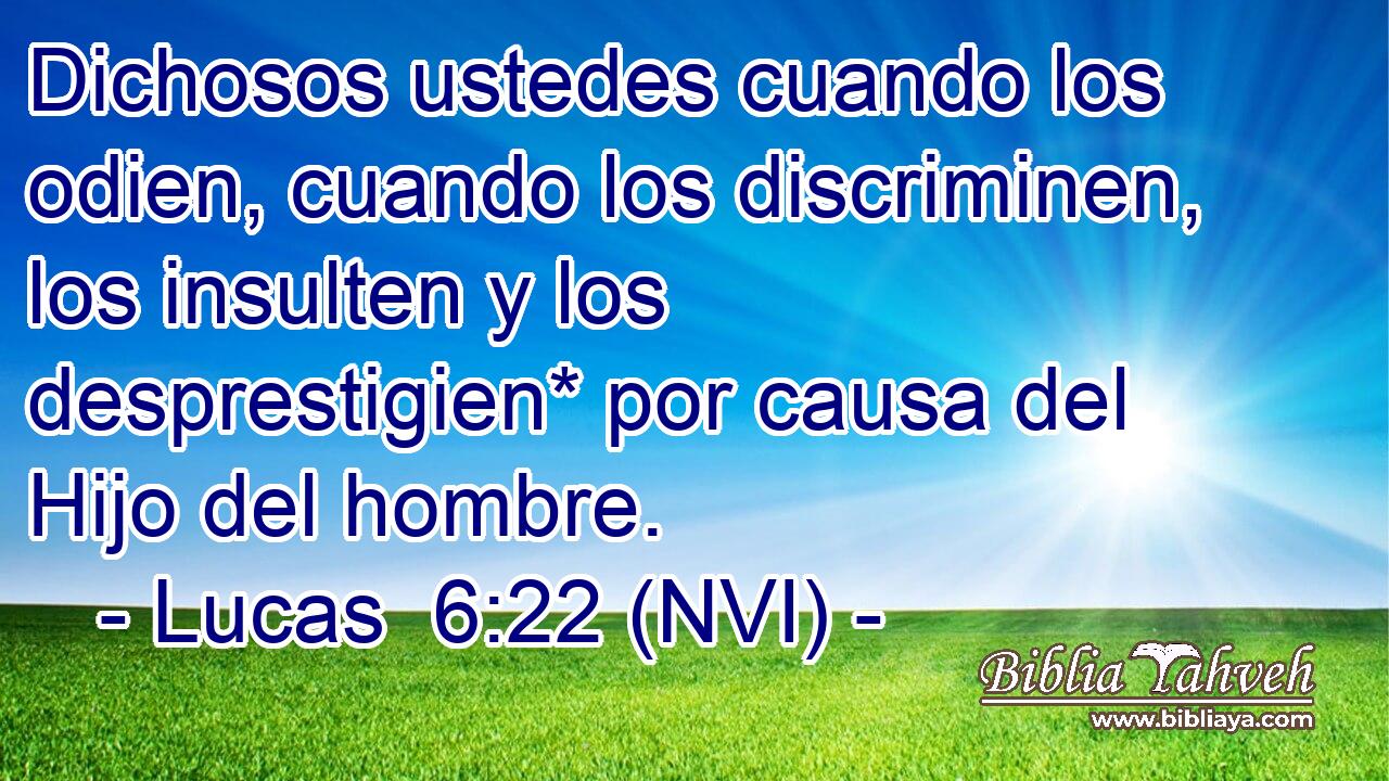  Dichosos ustedes cuando los odien, cuando los discriminen, los insulten y los desprestigien* por causa del Hijo del hombre. 