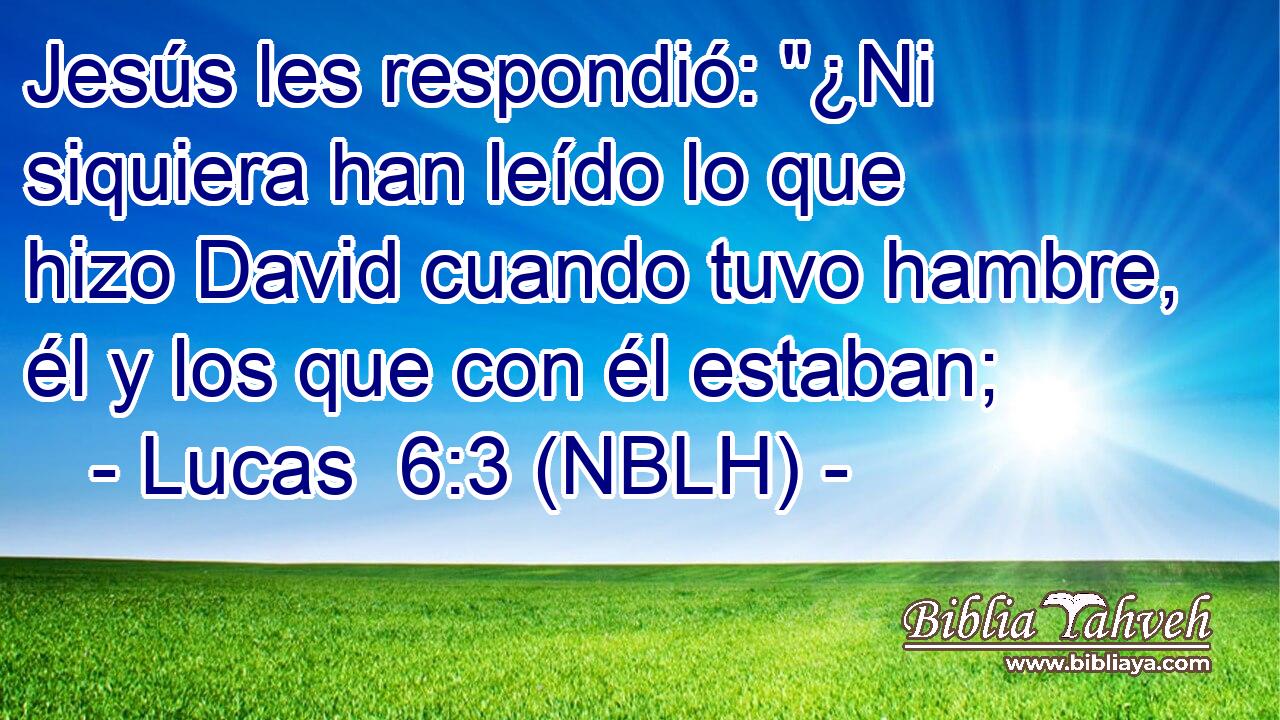  Jesús les respondió: 