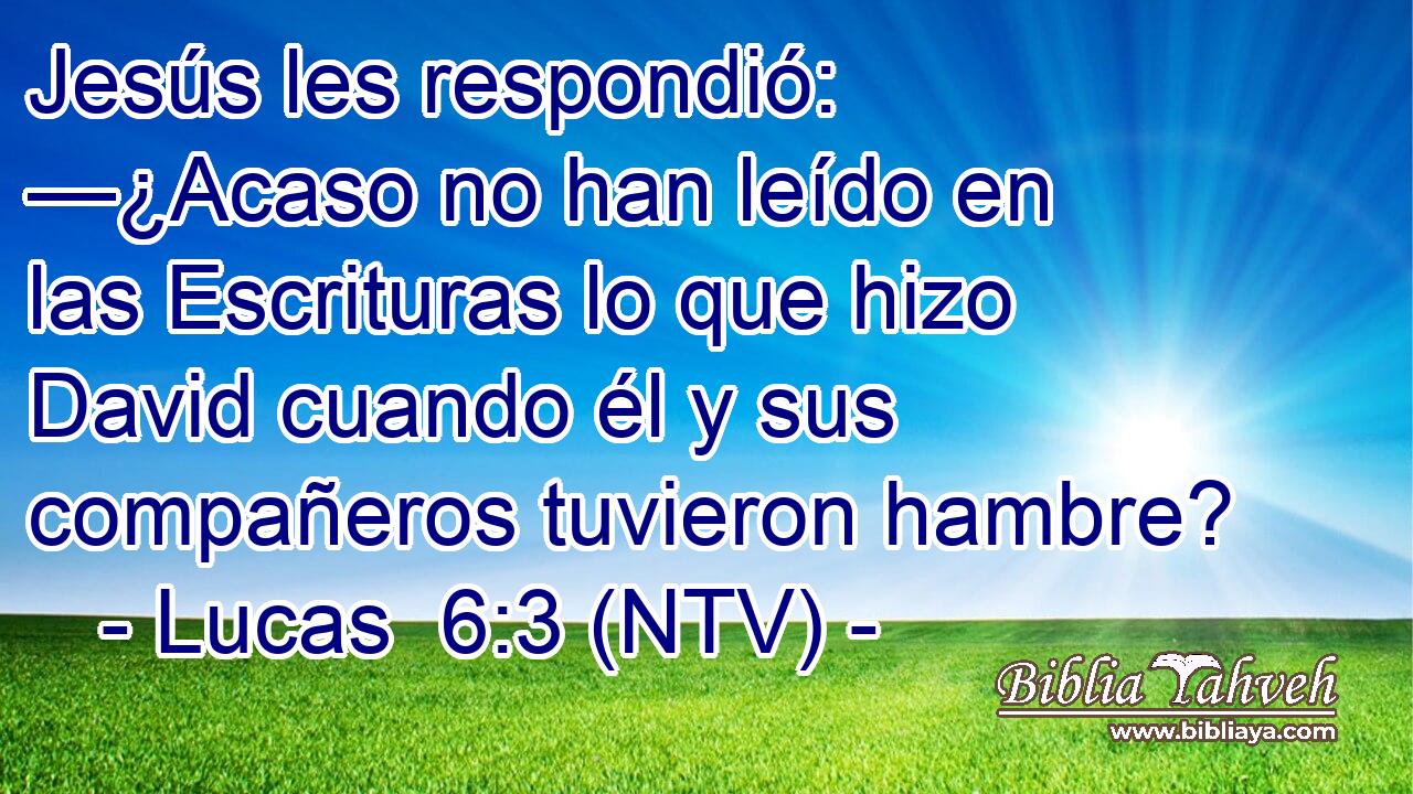 Jesús les respondió: —¿Acaso no han leído en las Escrituras lo que hizo David cuando él y sus compañeros tuvieron hambre?