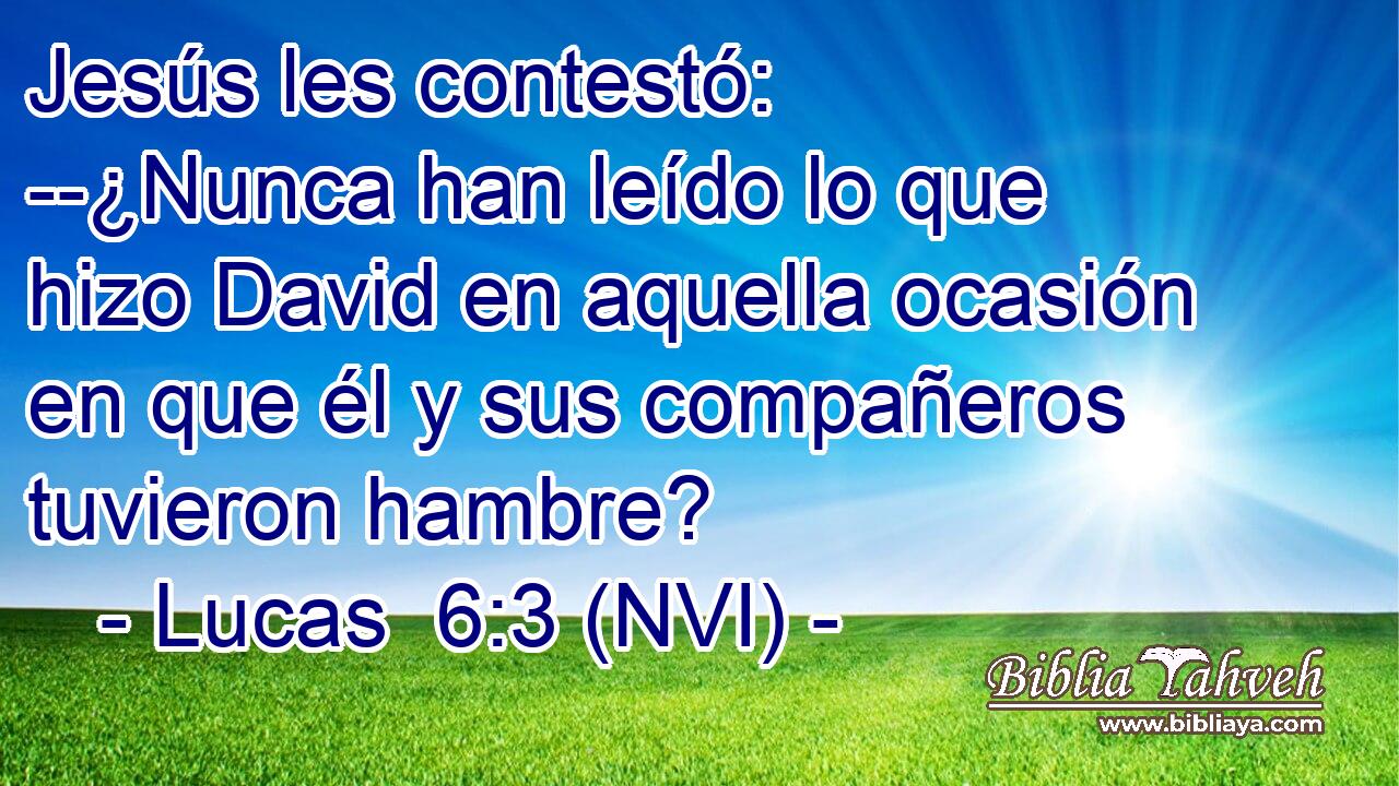  Jesús les contestó: --¿Nunca han leído lo que hizo David en aquella ocasión en que él y sus compañeros tuvieron hambre? 