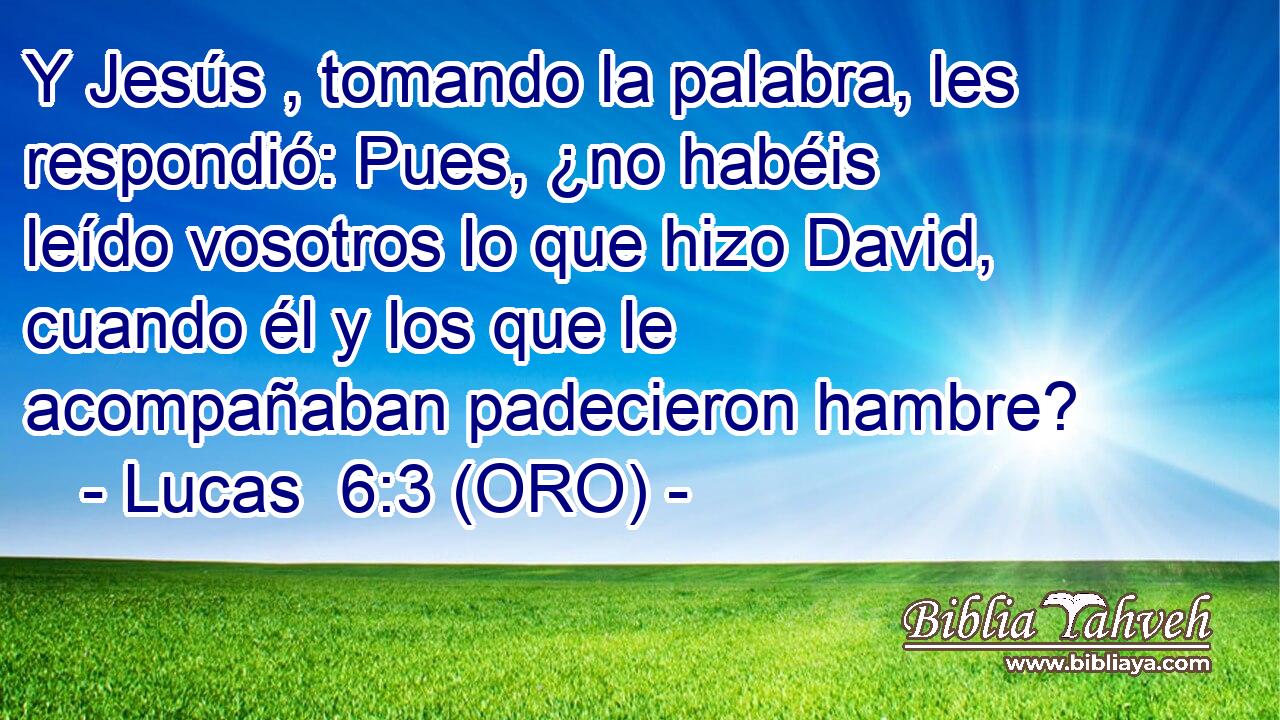 Y Jesús , tomando la palabra, les respondió: Pues, ¿no habéis leído vosotros lo que hizo David, cuando él y los que le acompañaban padecieron hambre? 