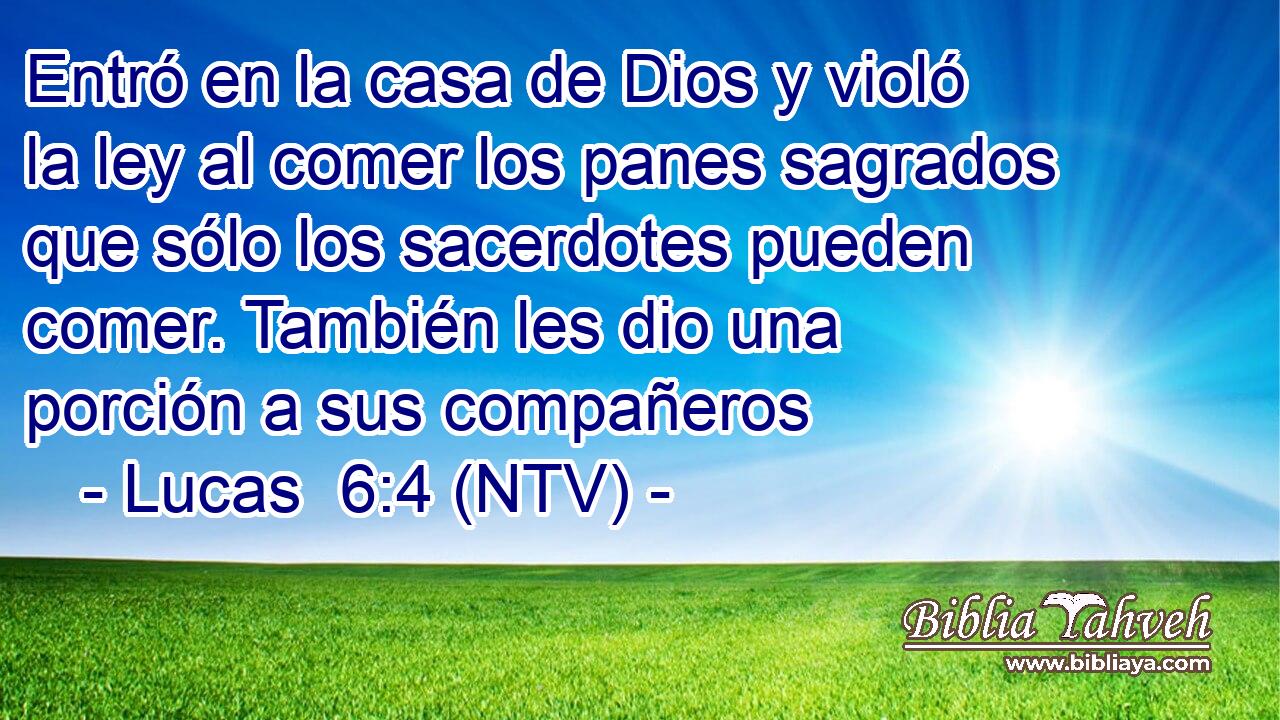 Entró en la casa de Dios y violó la ley al comer los panes sagrados que sólo los sacerdotes pueden comer. También les dio una porción a sus compañeros