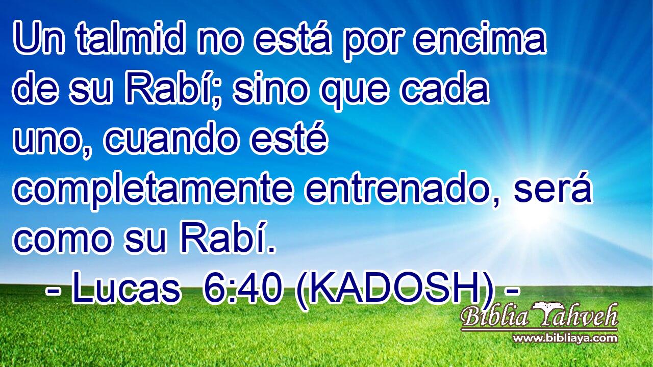  Un talmid no está por encima de su Rabí; sino que cada uno, cuando esté completamente entrenado, será como su Rabí. 