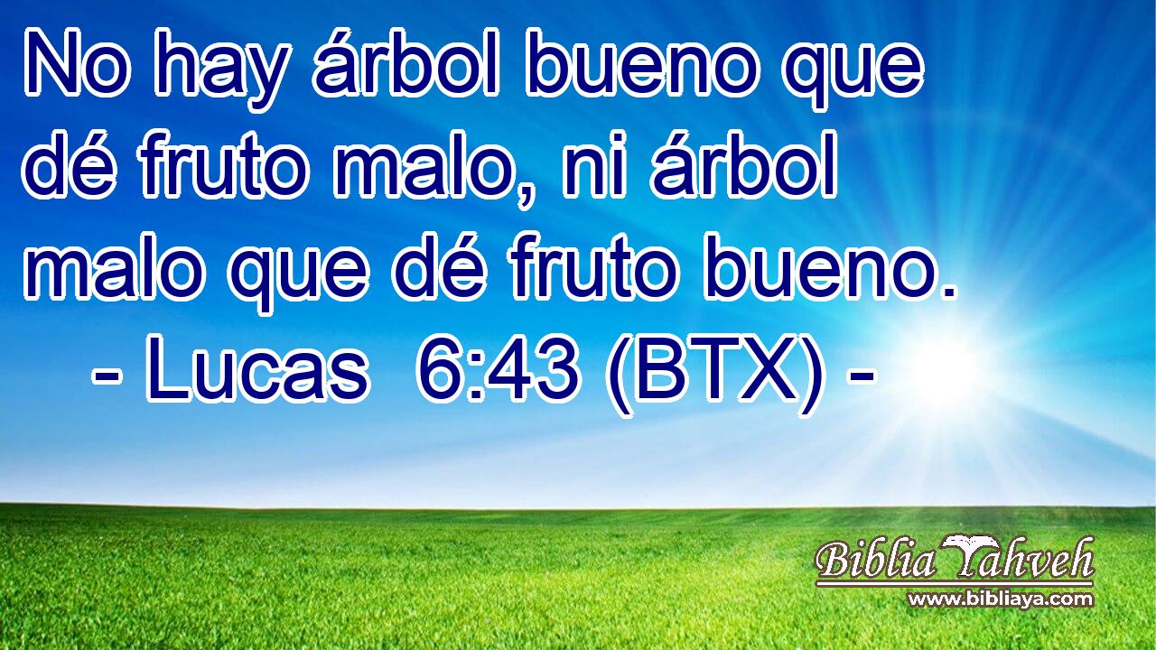 No hay árbol bueno que dé fruto malo, ni árbol malo que dé fruto bueno.