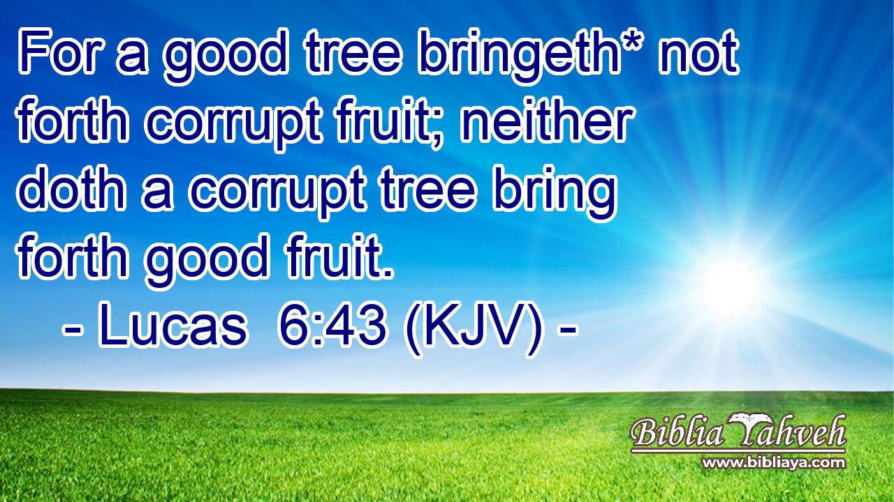 For a good tree bringeth* not forth corrupt fruit; neither doth a corrupt tree bring forth good fruit.
