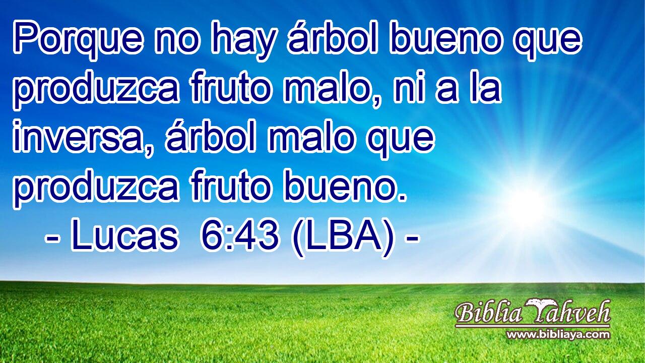 Porque no hay árbol bueno que produzca fruto malo, ni a la inversa, árbol malo que produzca fruto bueno.