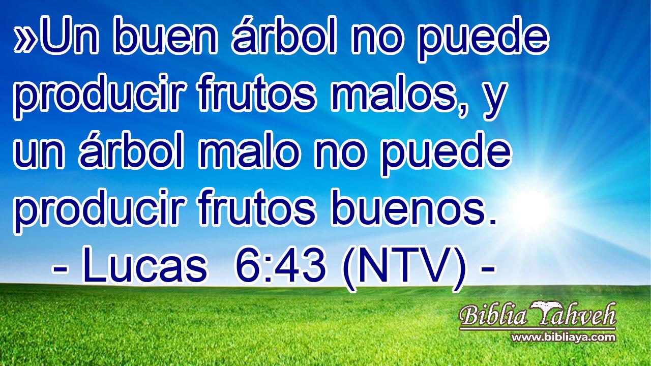 »Un buen árbol no puede producir frutos malos, y un árbol malo no puede producir frutos buenos.