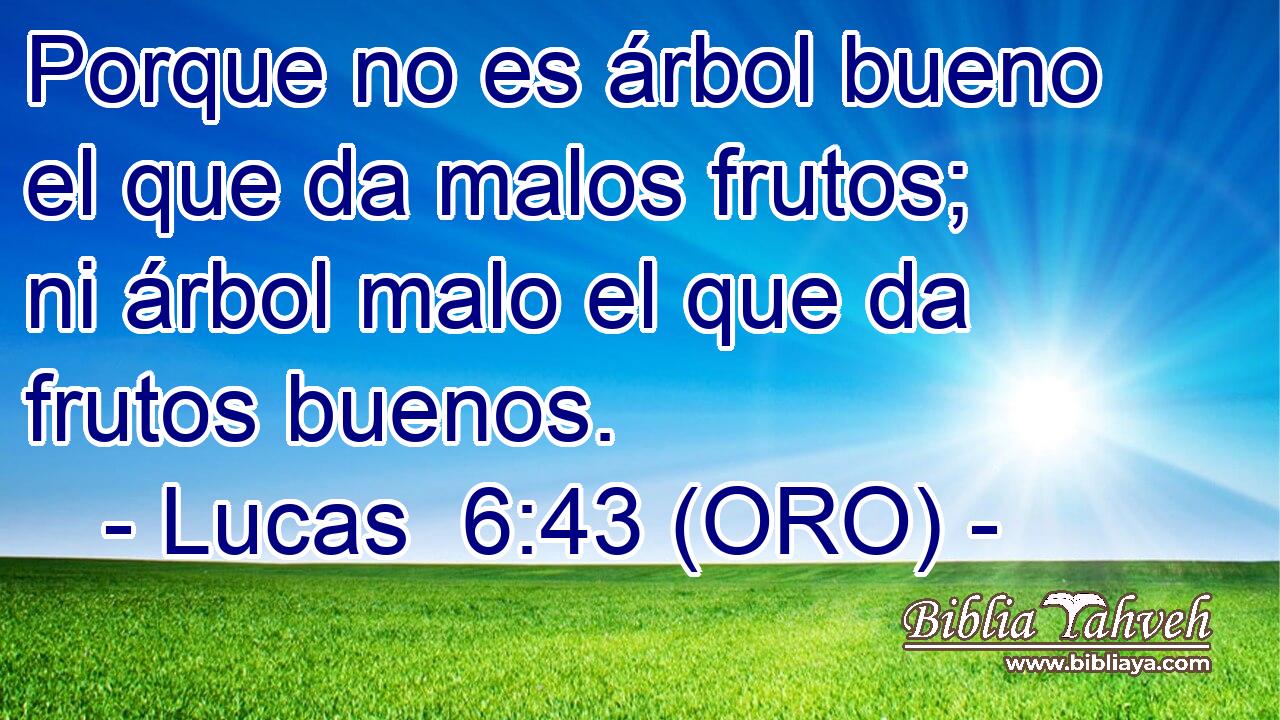  Porque no es árbol bueno el que da malos frutos; ni árbol malo el que da frutos buenos. 