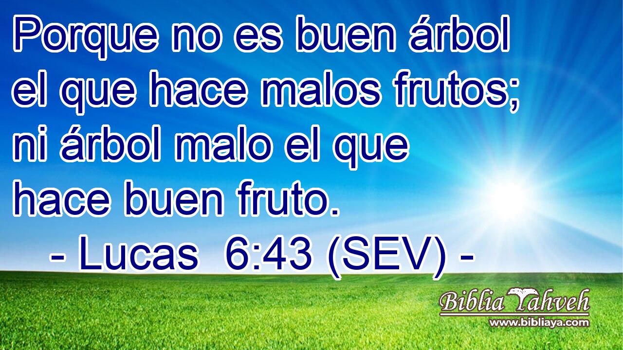 Porque no es buen árbol el que hace malos frutos; ni árbol malo el que hace buen fruto.