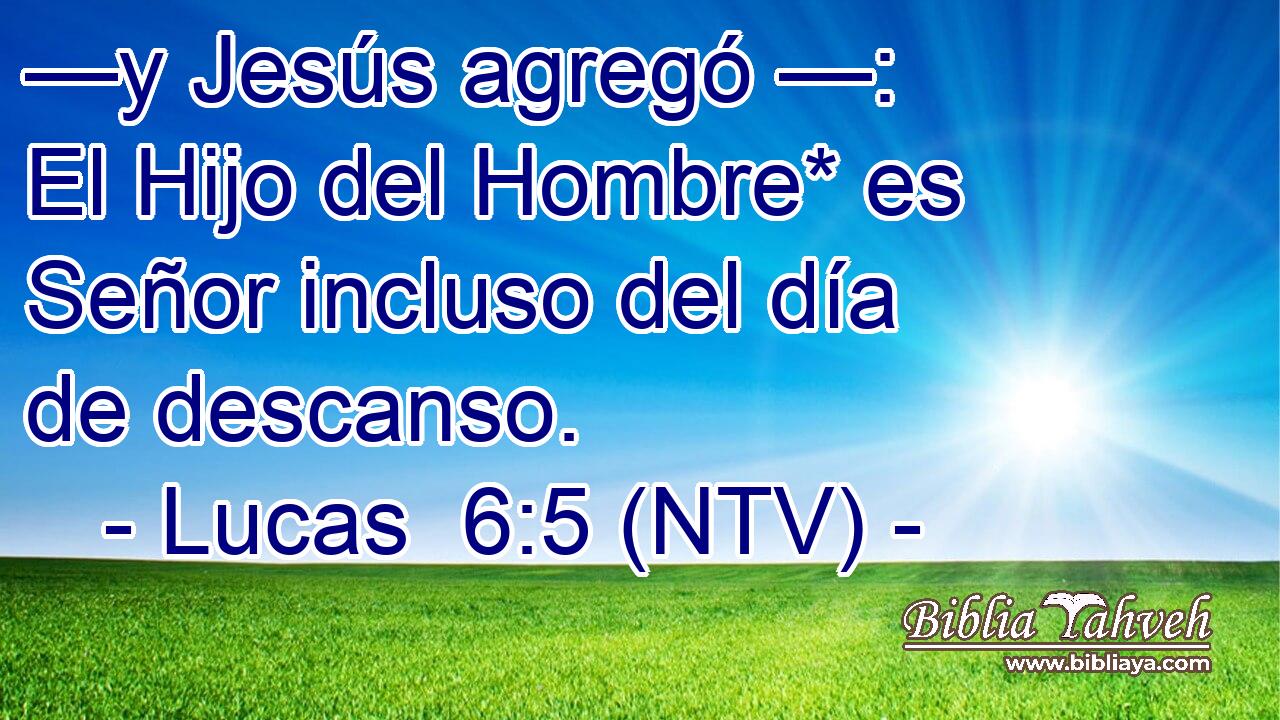 —y Jesús agregó —: El Hijo del Hombre* es Señor incluso del día de descanso.